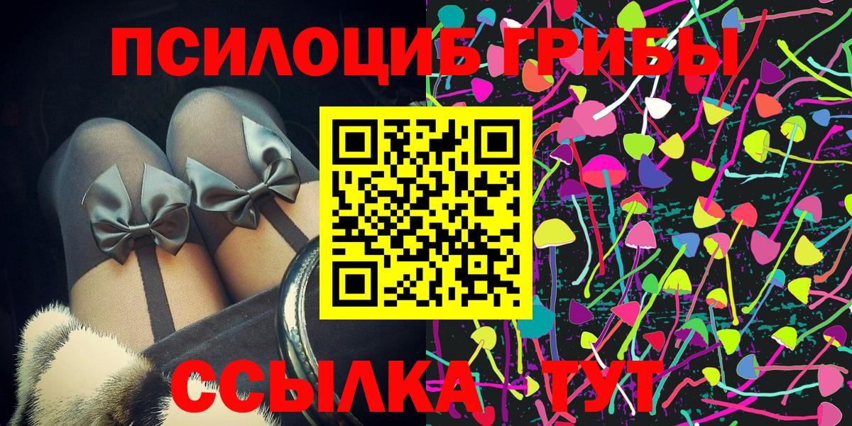 Рославль  Галлюциногенные грибы Cubensis  Вход с VPN 